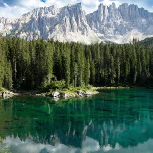 Verde alpi - immagine 4